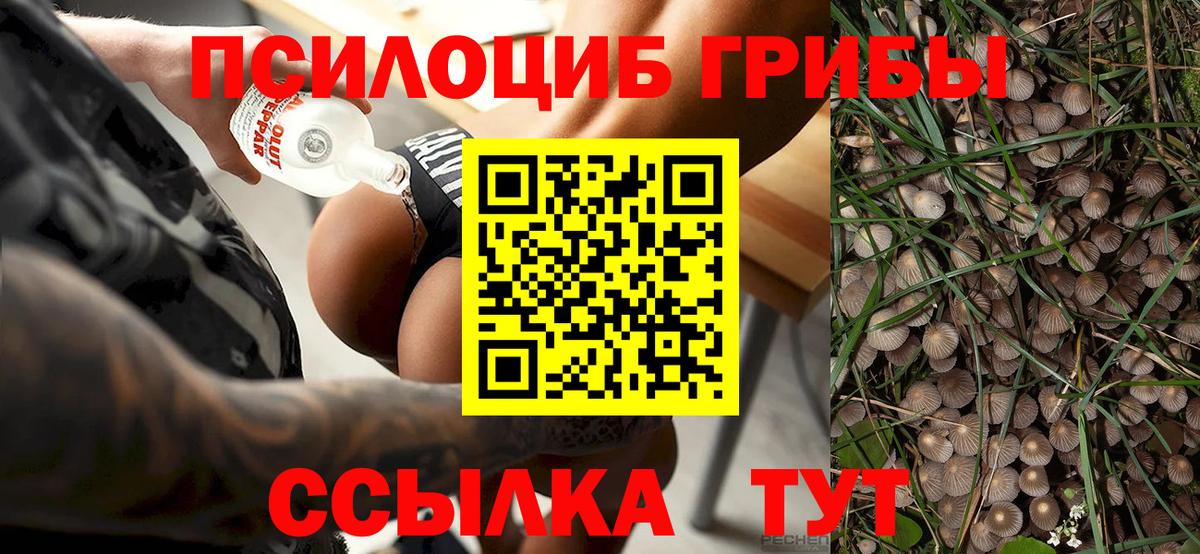 Галлюциногенные грибы ЛСД Михайловка